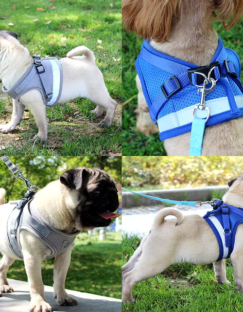 Load image into Gallery viewer, Reflective Dog Harness with Leash Adjustable Pet Harnesses Vest for Small Medium Dog Soft Outdoor Breathable Puppy Chest Strap
