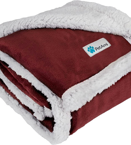 Puppy Dog Blanket | Pet Blanket Small Dog Indoor Cat Kitten | Fleece Sherpa Throw Doggy Blanket Crate Couch Sofa Bed | Soft Plush Fuzzy Fluffy Lightweight Warm Cover, 29X40