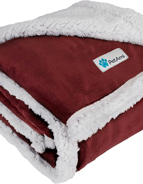 Load image into Gallery viewer, Puppy Dog Blanket | Pet Blanket Small Dog Indoor Cat Kitten | Fleece Sherpa Throw Doggy Blanket Crate Couch Sofa Bed | Soft Plush Fuzzy Fluffy Lightweight Warm Cover, 29X40
