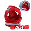 Red (10_100014066)