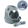 Gray (350853_100014066)