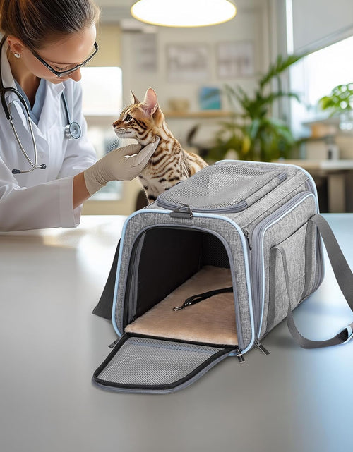 Load image into Gallery viewer, Expandable Cat Carriers Airline Approved, 16"X10"X9" Small Dog Carrier Soft-Sided Portable Washable Pet Travel Carrier with Two Extension for Kitten,Rabbit, Puppy, Small Animal
