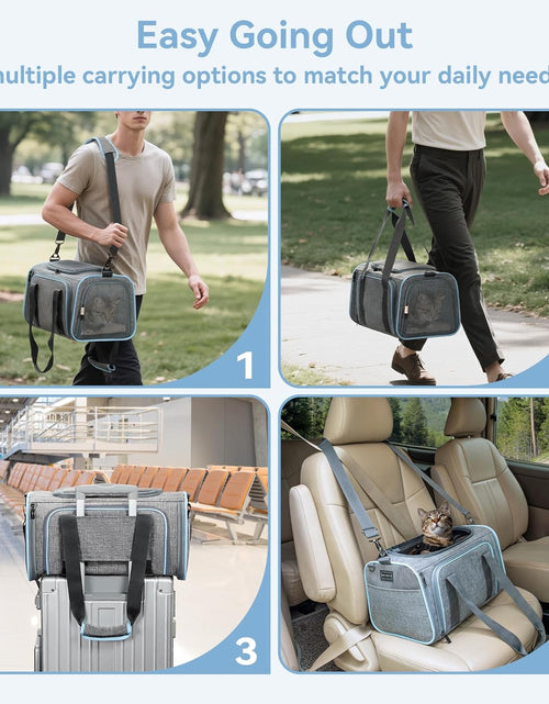Load image into Gallery viewer, Expandable Cat Carriers Airline Approved, 16"X10"X9" Small Dog Carrier Soft-Sided Portable Washable Pet Travel Carrier with Two Extension for Kitten,Rabbit, Puppy, Small Animal
